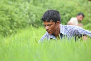 A farmer in India.