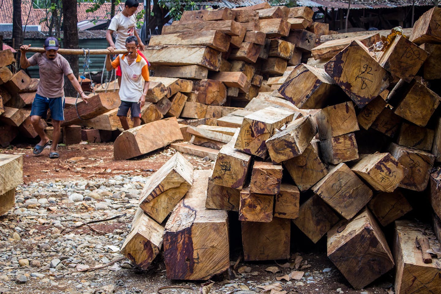 sawmill in Jepara, Indonesia