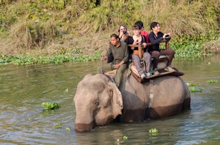 Elephant_Cruelty_Nepal