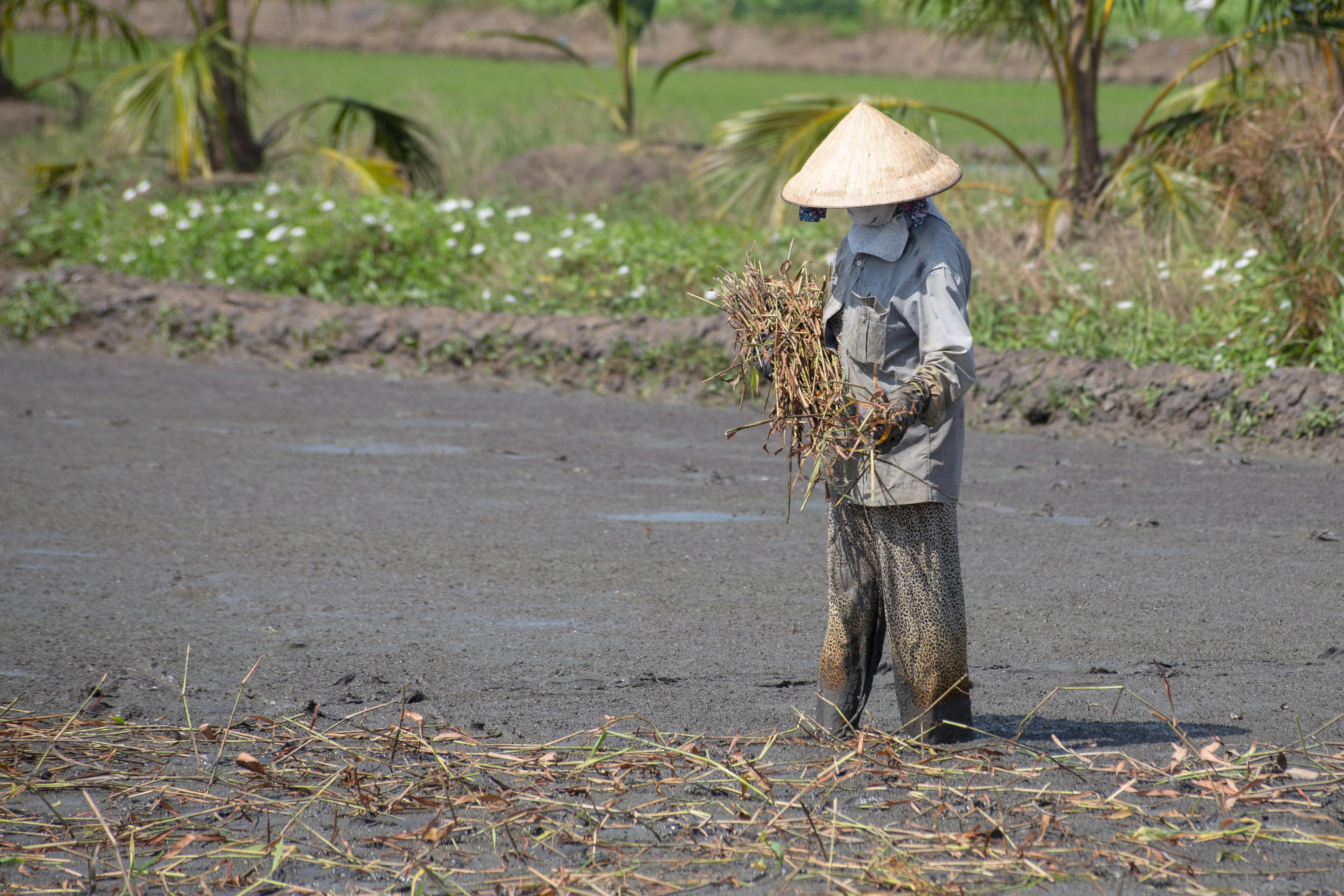 Farmer_Water_Security_Mekong_Vietnam