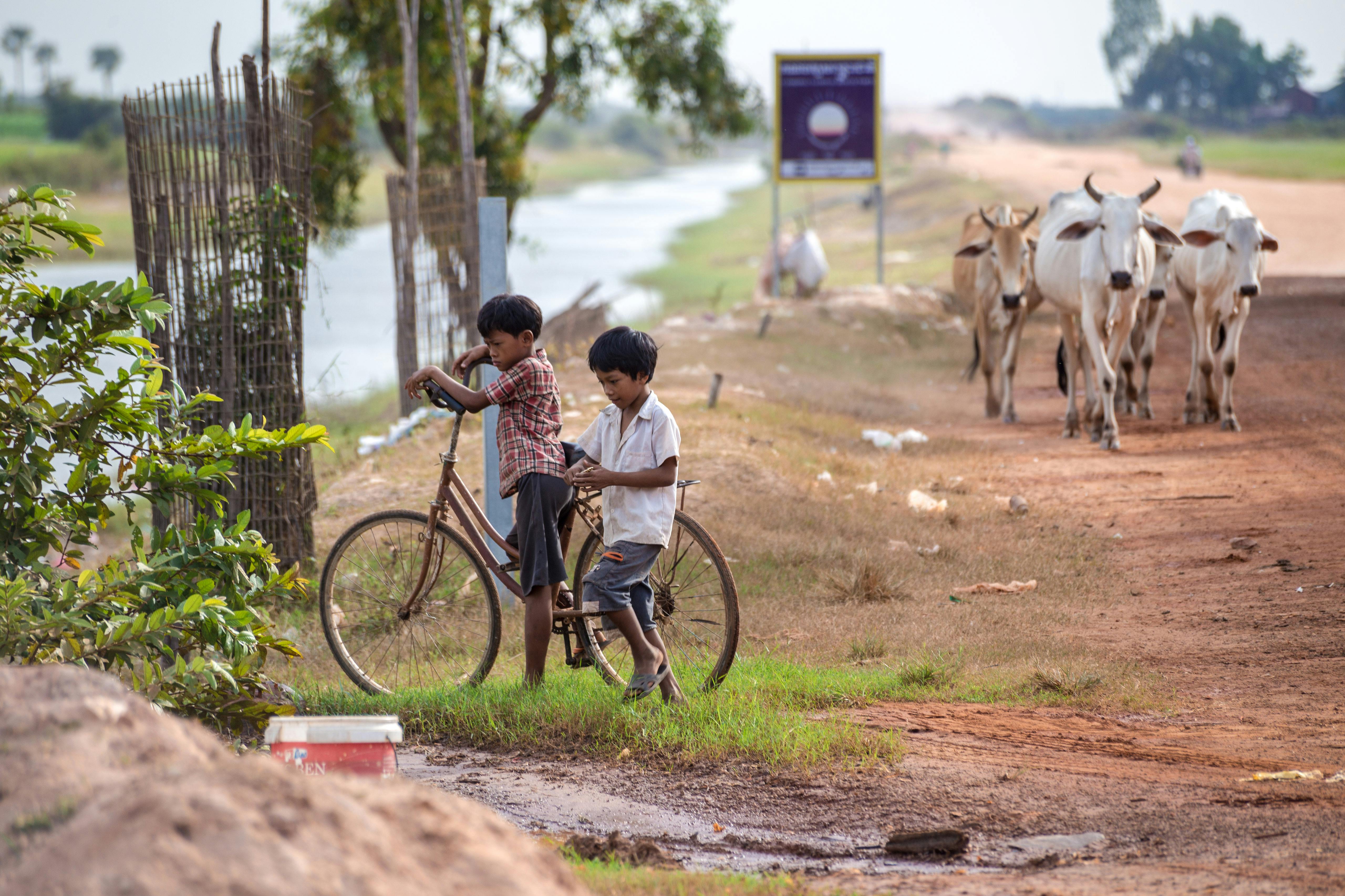 Deforestation_Children_Cambodia