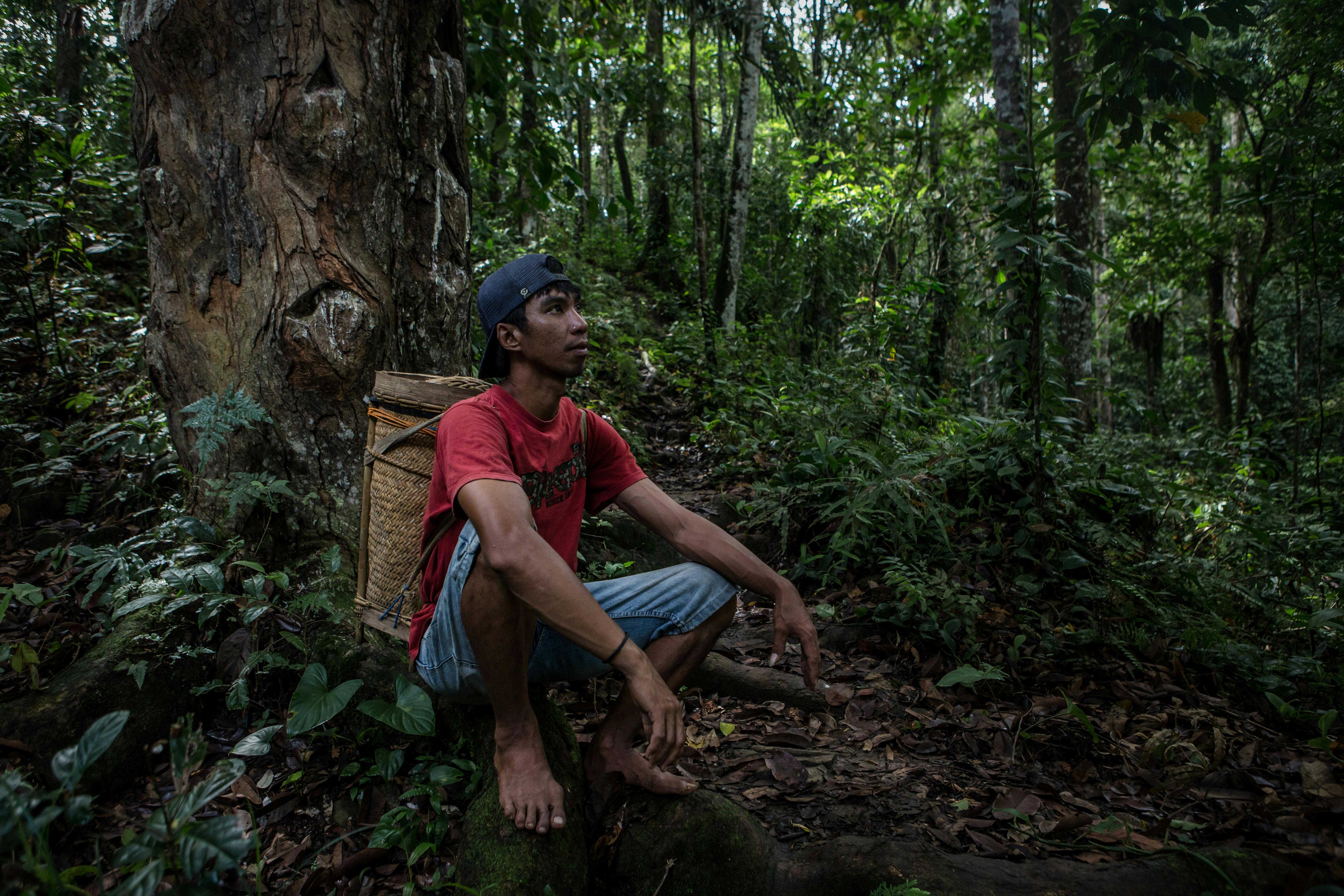 Indigenous_Java_Forest_Indonesia