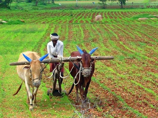 farmer india