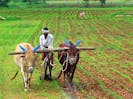 farmer india