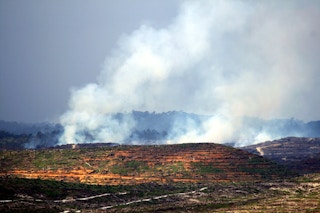 Forest fires in west Kalimantan2