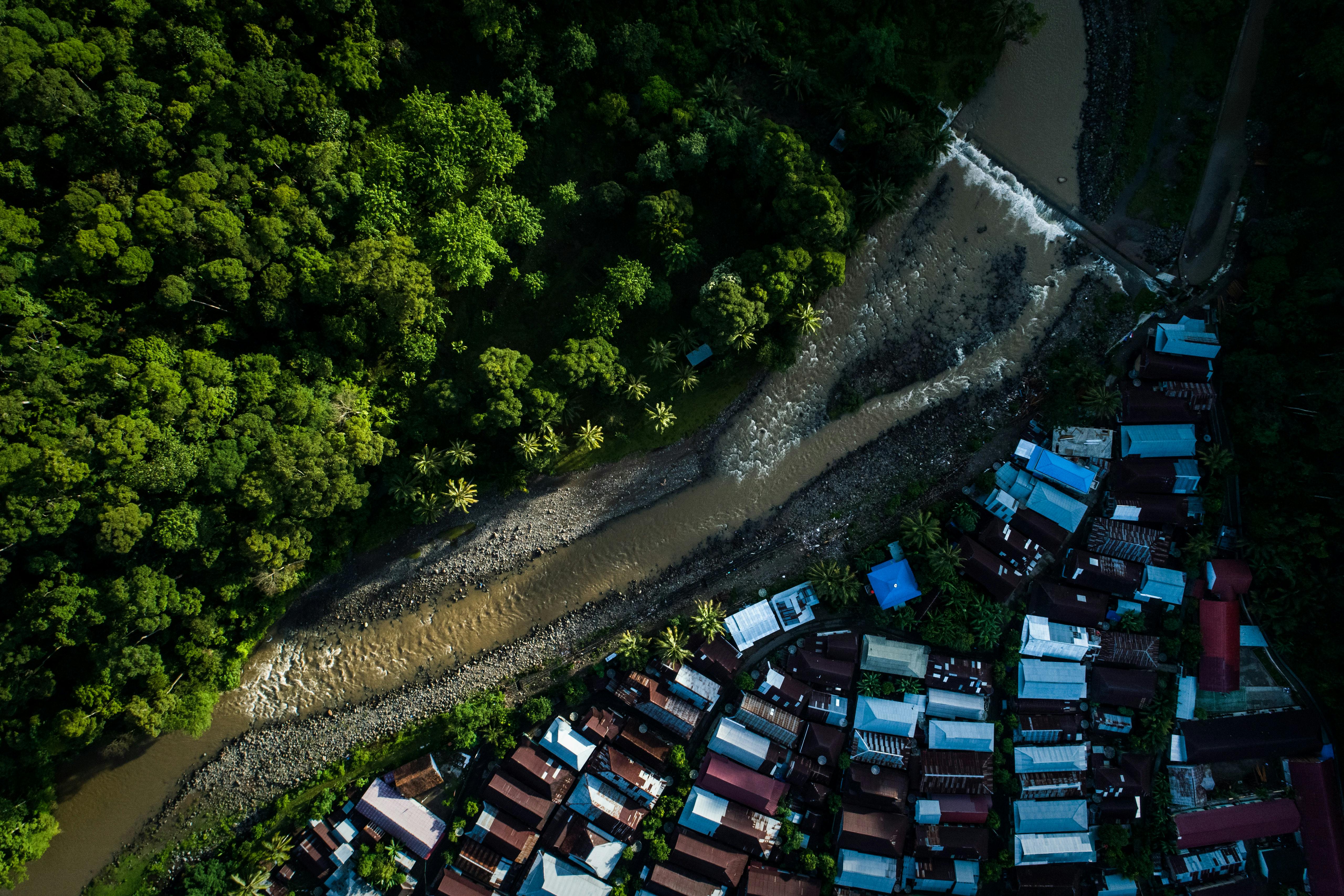 Forest_Road_AI_Indonesia