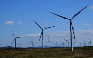 Whitelee Wind Farm 
