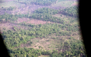 Deforestation_Cambodia_Logging