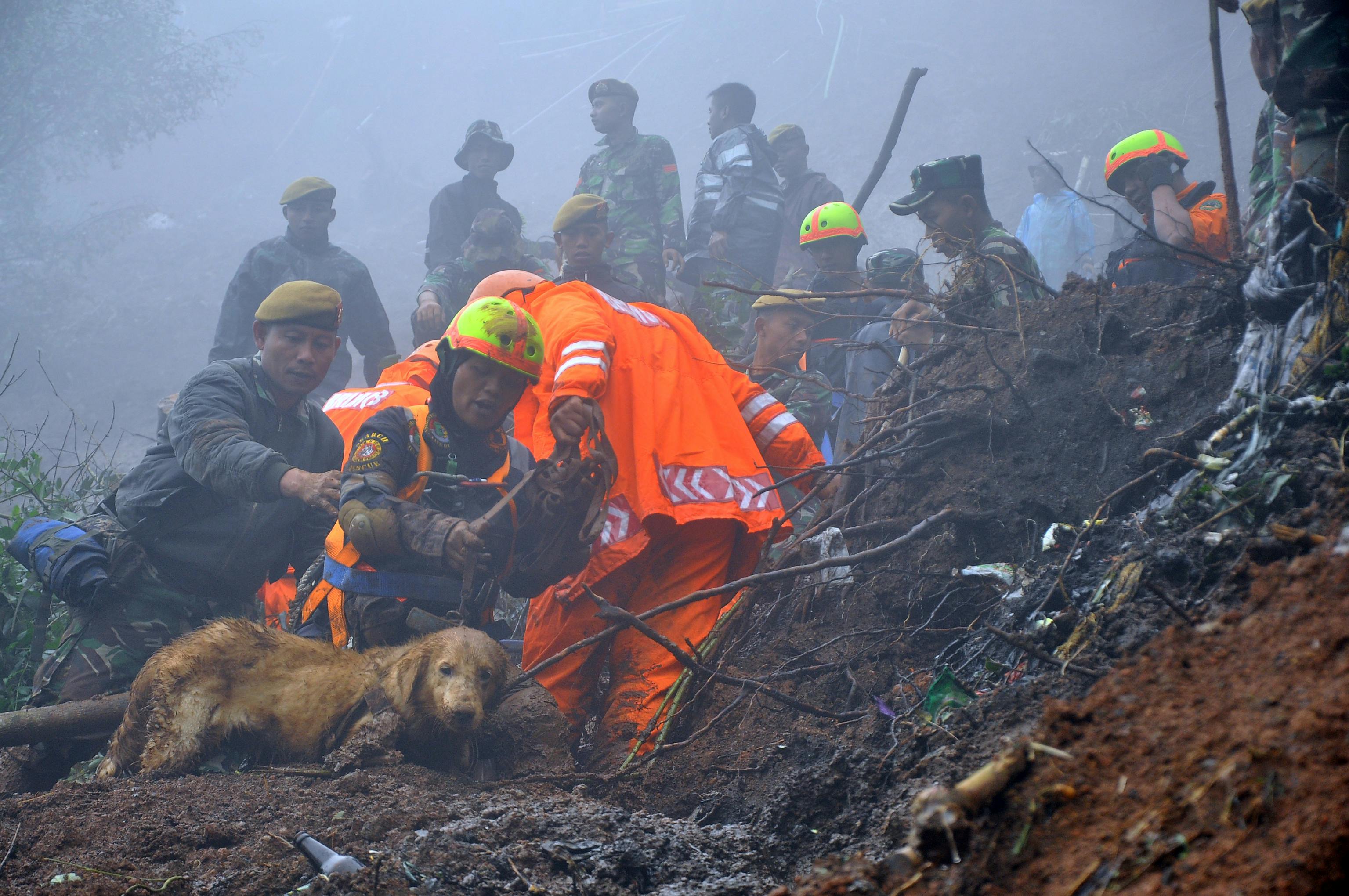 Natural_Disaster_Dog
