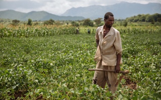 soybean farmer in malawi