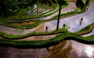 Rice_Farmer_Drought_Indonesia