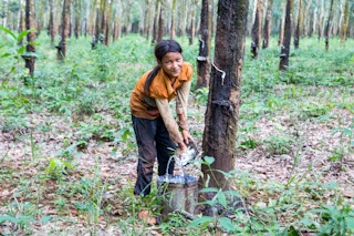 Rubber_Tree_Girl_Cambodia