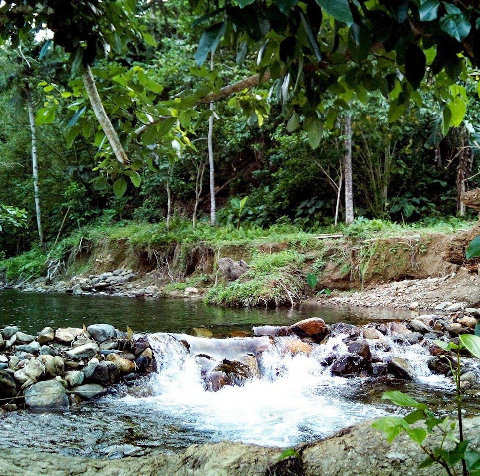 Planned Dam In Philippine National Park Draws Flak From Activists Officials News Eco Business Asia Pacific