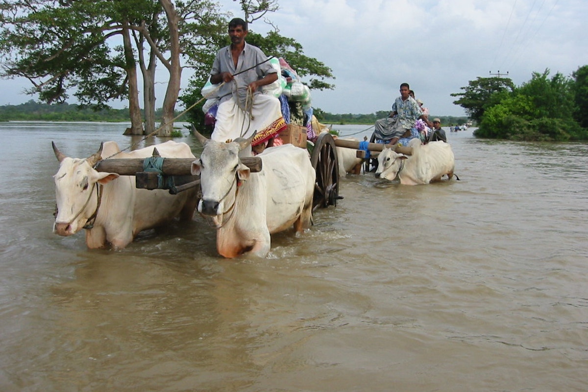 Environmental factors behind depression in Sri Lanka News Eco