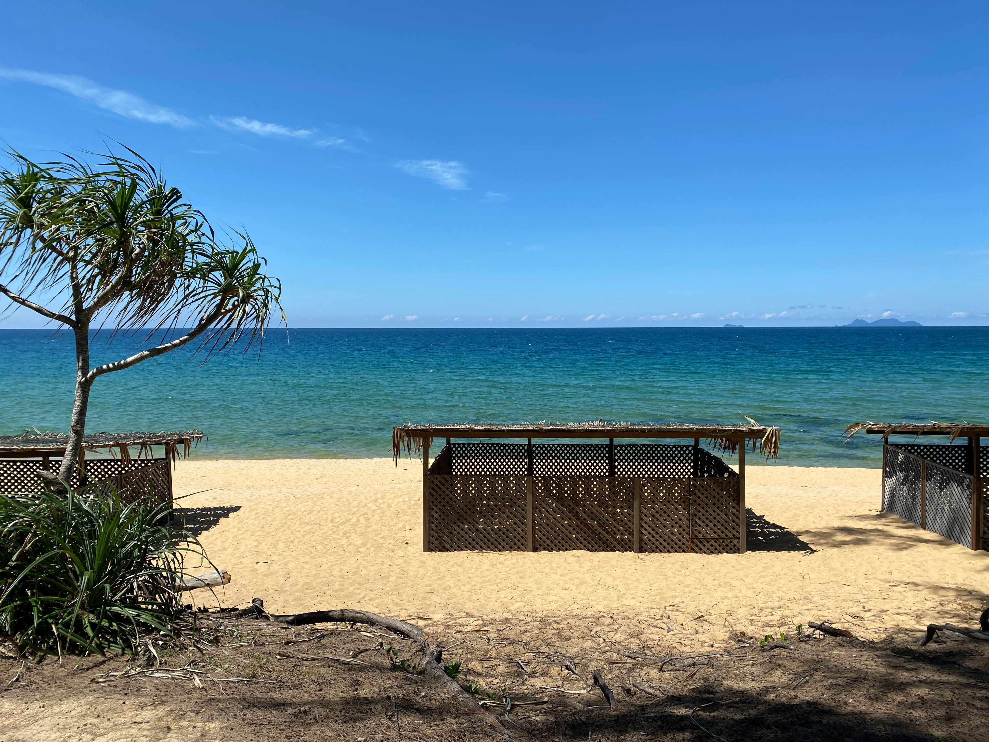 baby sea turtle hatcheries