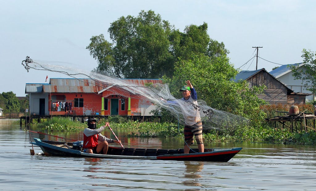 Illegal Fishing Di Indonesia – Newstempo