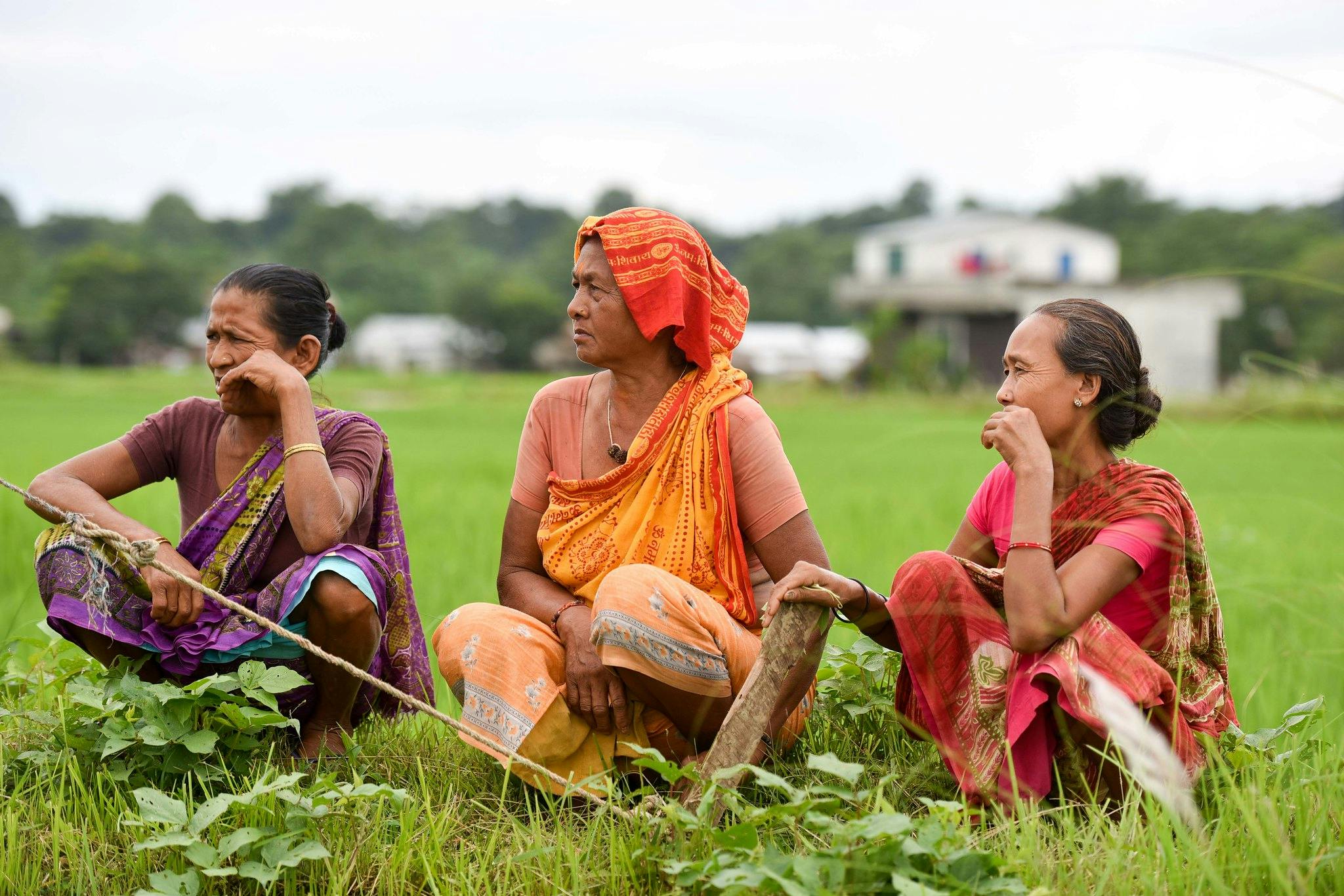 Women_Farmers_Rice_Field_Nepal