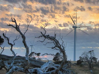 Millicent wind farm at sunrise in South Australia