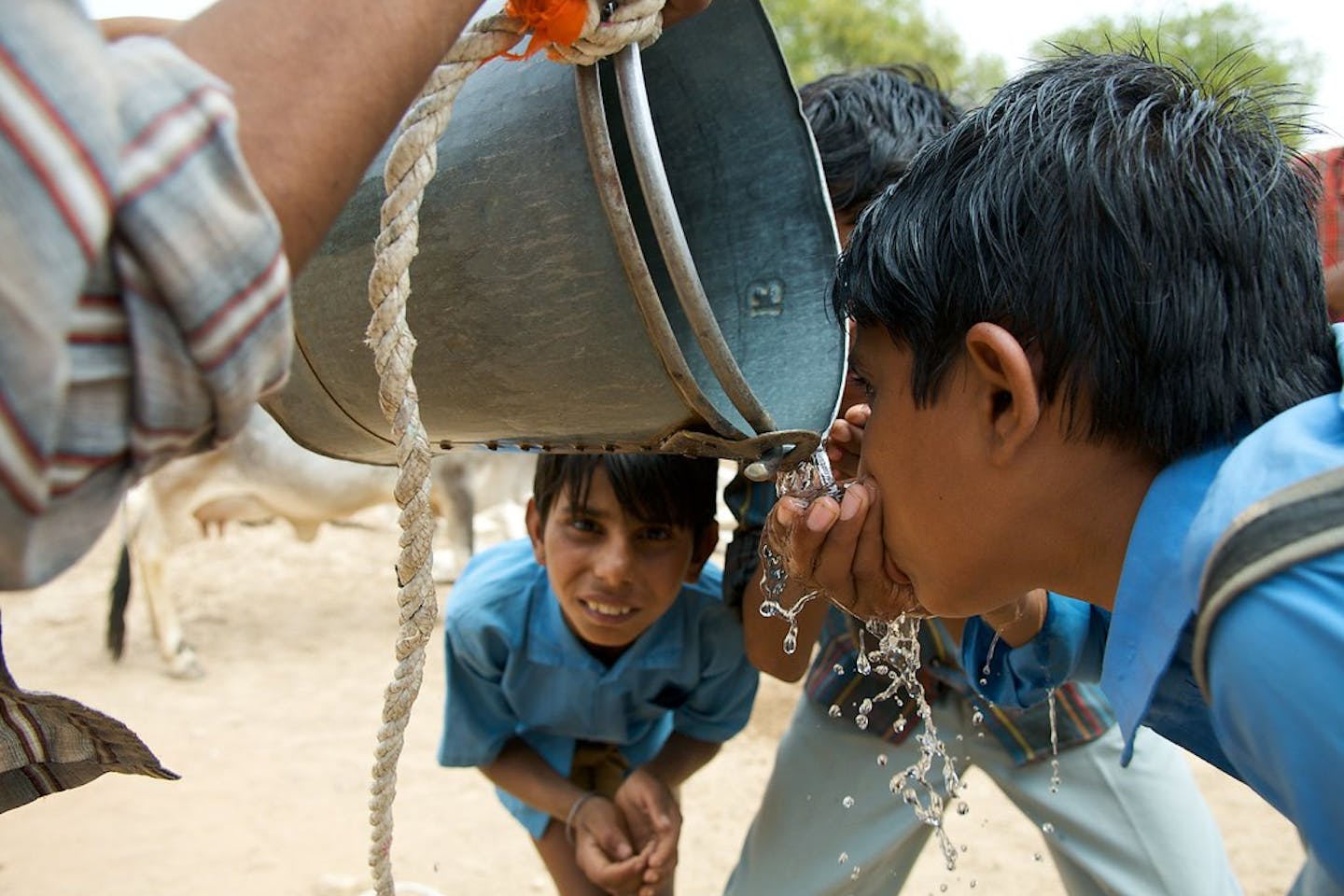 school boys in India drink water from bucket