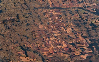 amazon rainforest satellite image