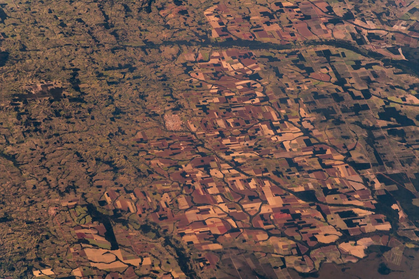 amazon rainforest satellite image