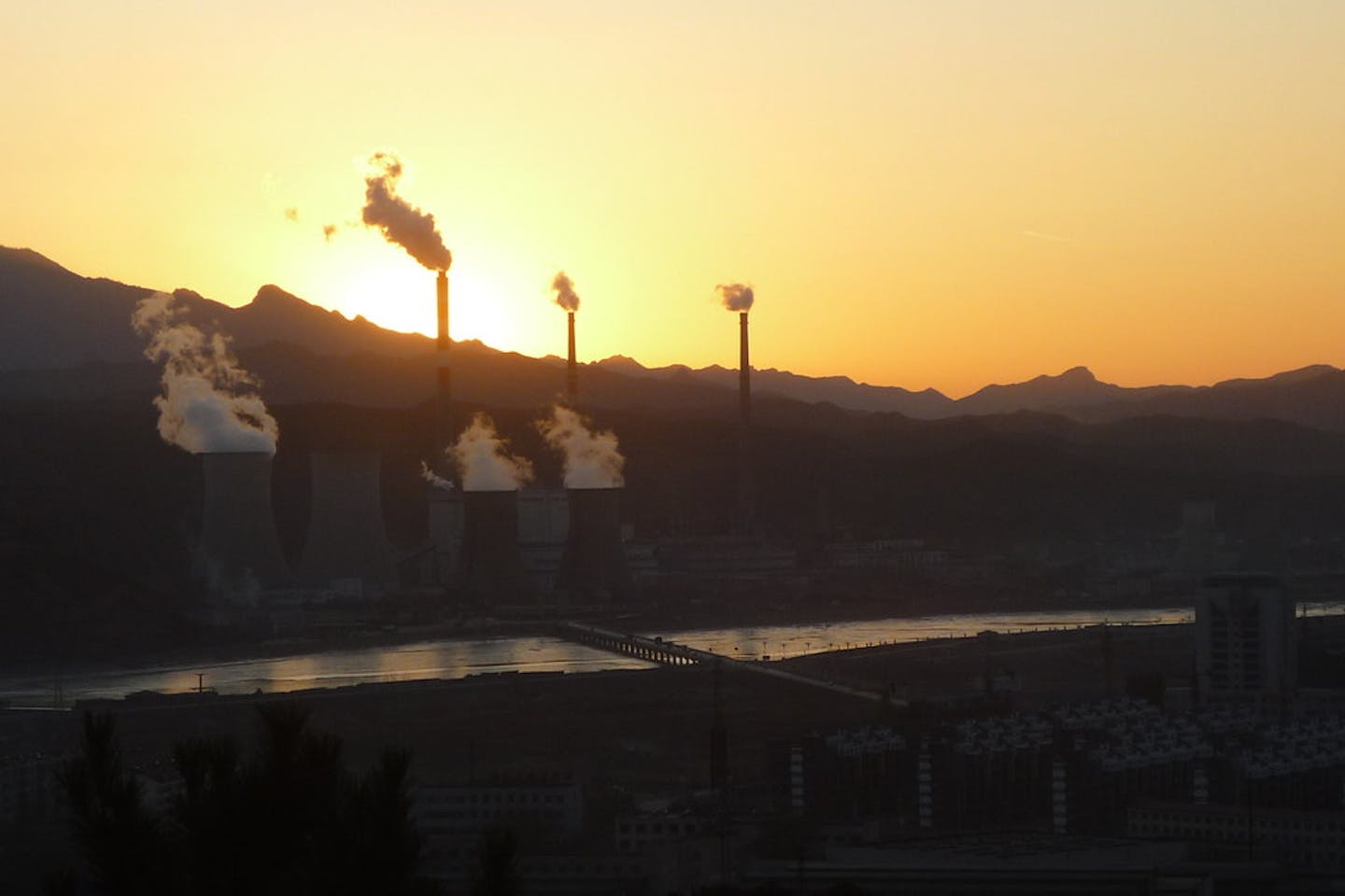 china coal5