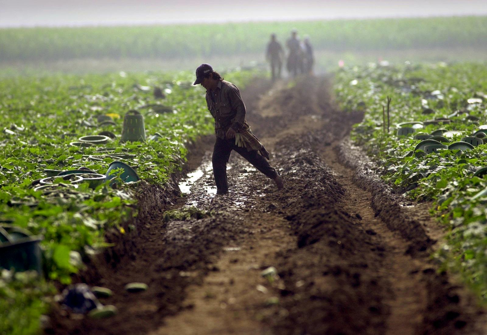 Migrant_Worker_Rights