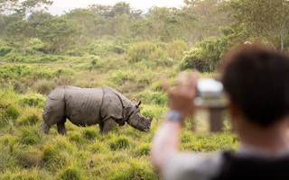 Rhino_Chitwan_Park_Nepal