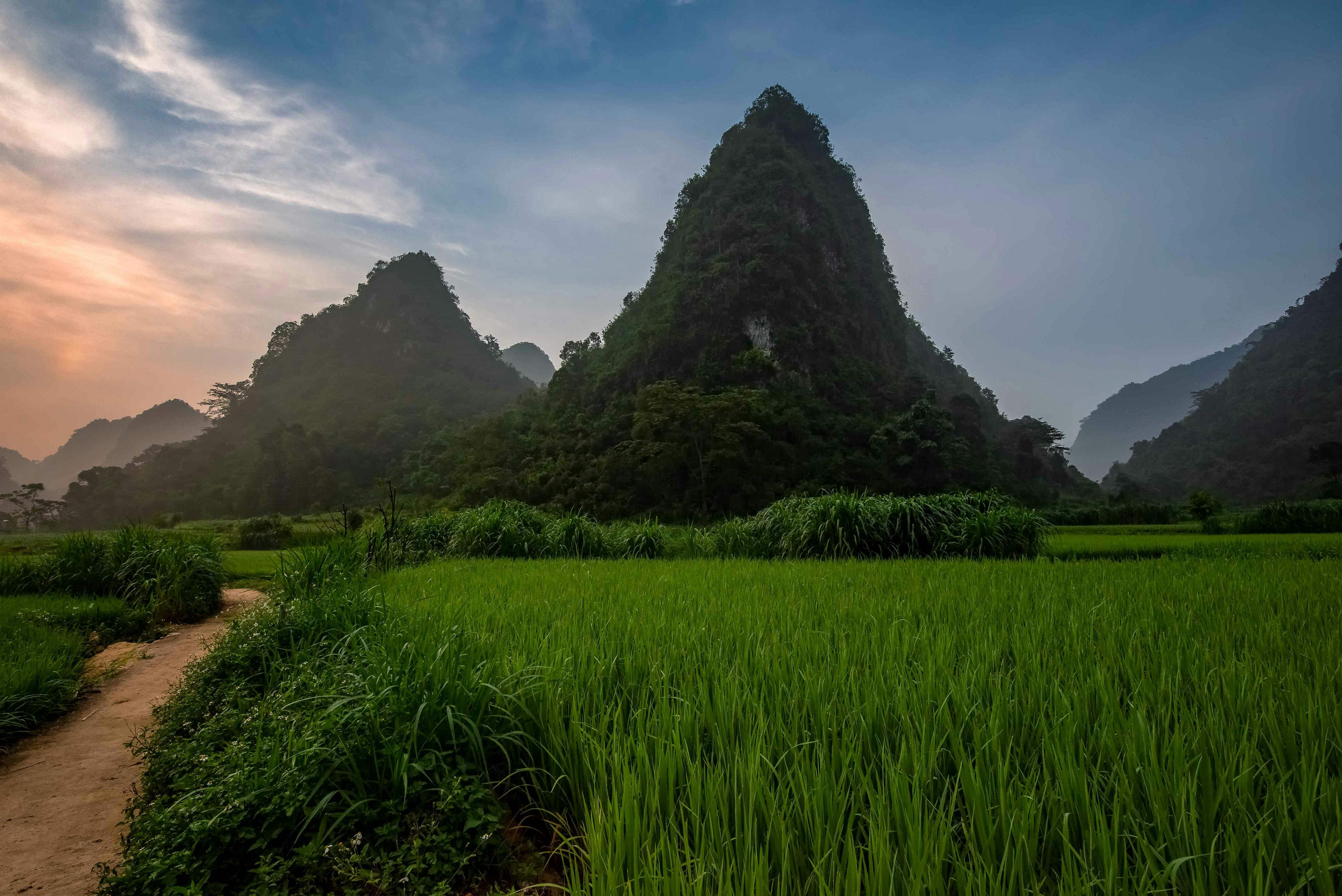 Mountain_Forest_Vietnam