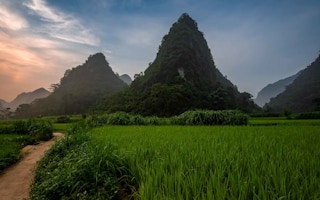 Mountain_Forest_Vietnam