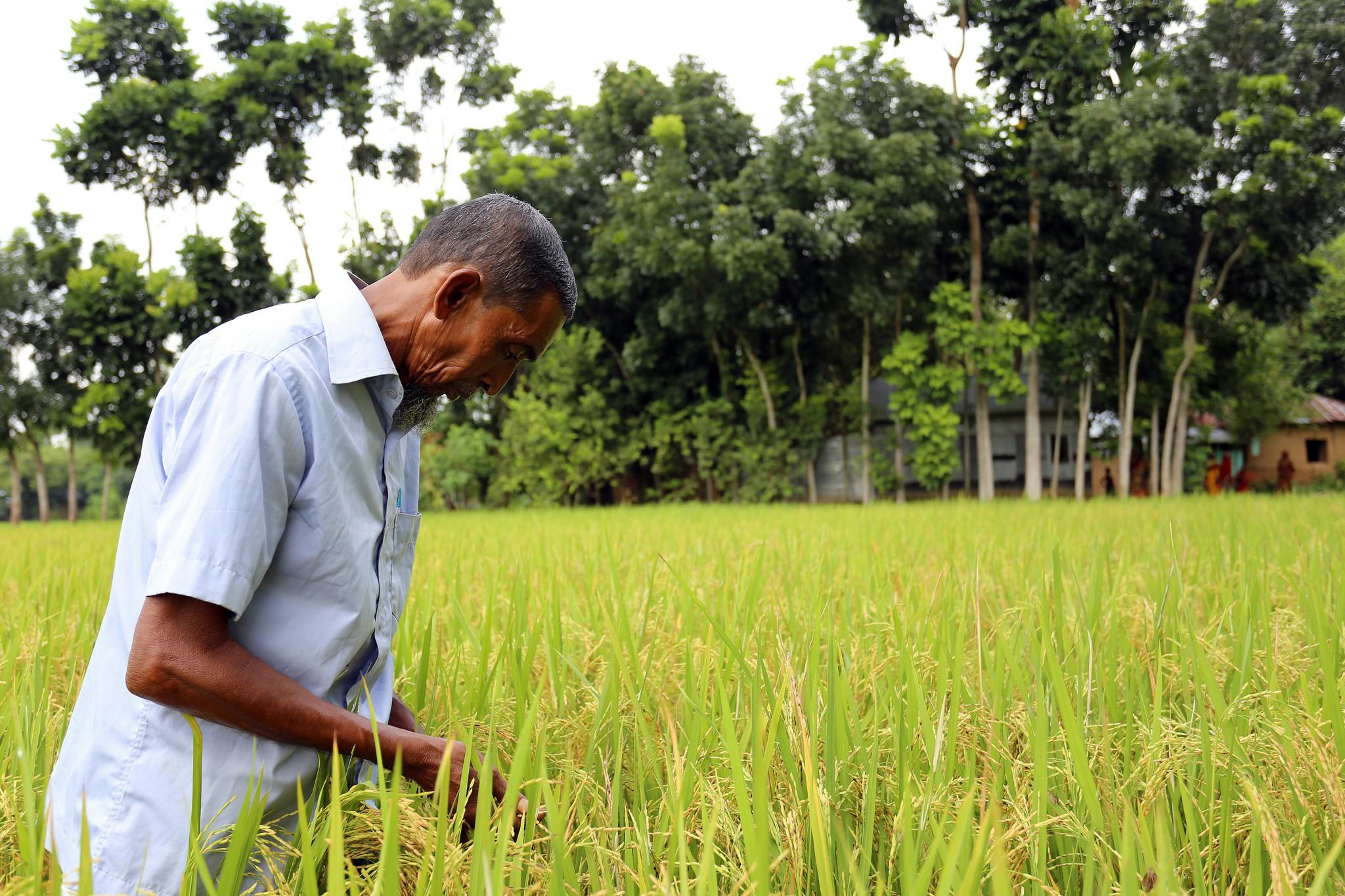 Climate_Justice_Bangladesh_Farmer