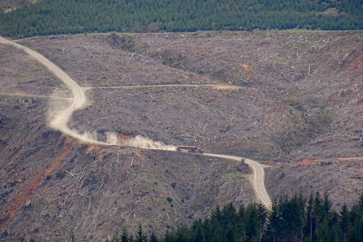 Forests cleared along Oregon’s Coast Range in the US
