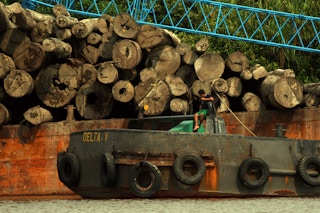 Logging_Shipping_Indonesia