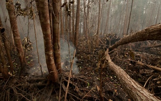 Peat burns in the Tumbang Nusa research forest outside Palangka Raya, Central Kalimantan in Indonesia
