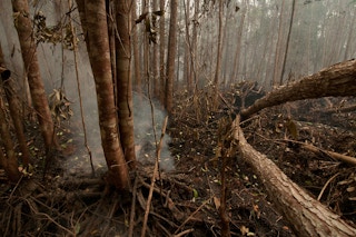 Peat burns in the Tumbang Nusa research forest outside Palangka Raya, Central Kalimantan in Indonesia