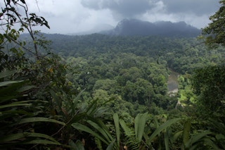 Borneo Rainforest Lodge area in Sabah, Malaysia.
