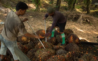 workers loading oil palm fruits