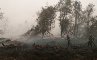 indonesia forest fire2
