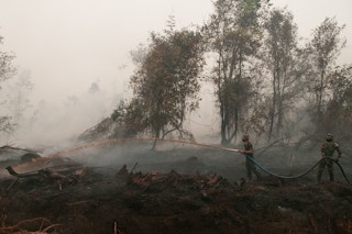 indonesia forest fire2