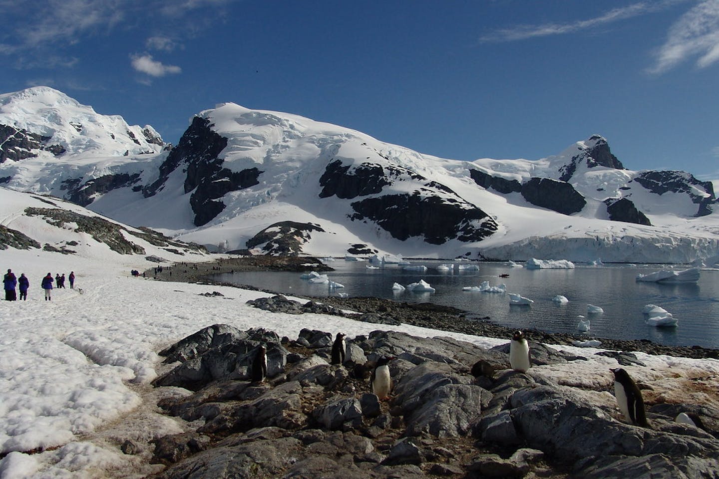 antartica temperatures
