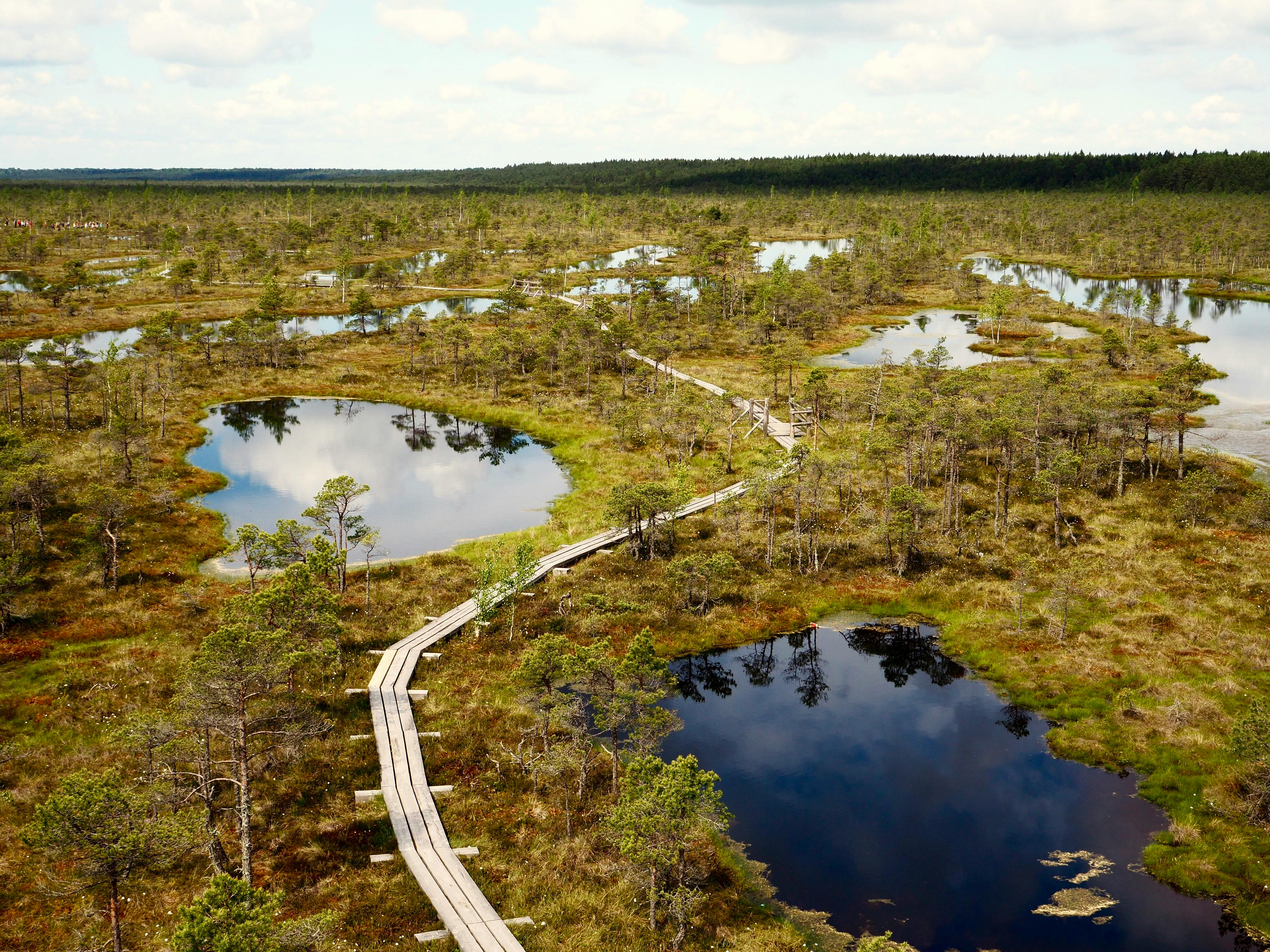 Peatland_Latvia