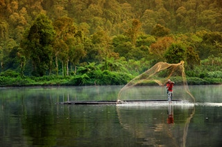 Forest_Fisherman_Java_Indonesia