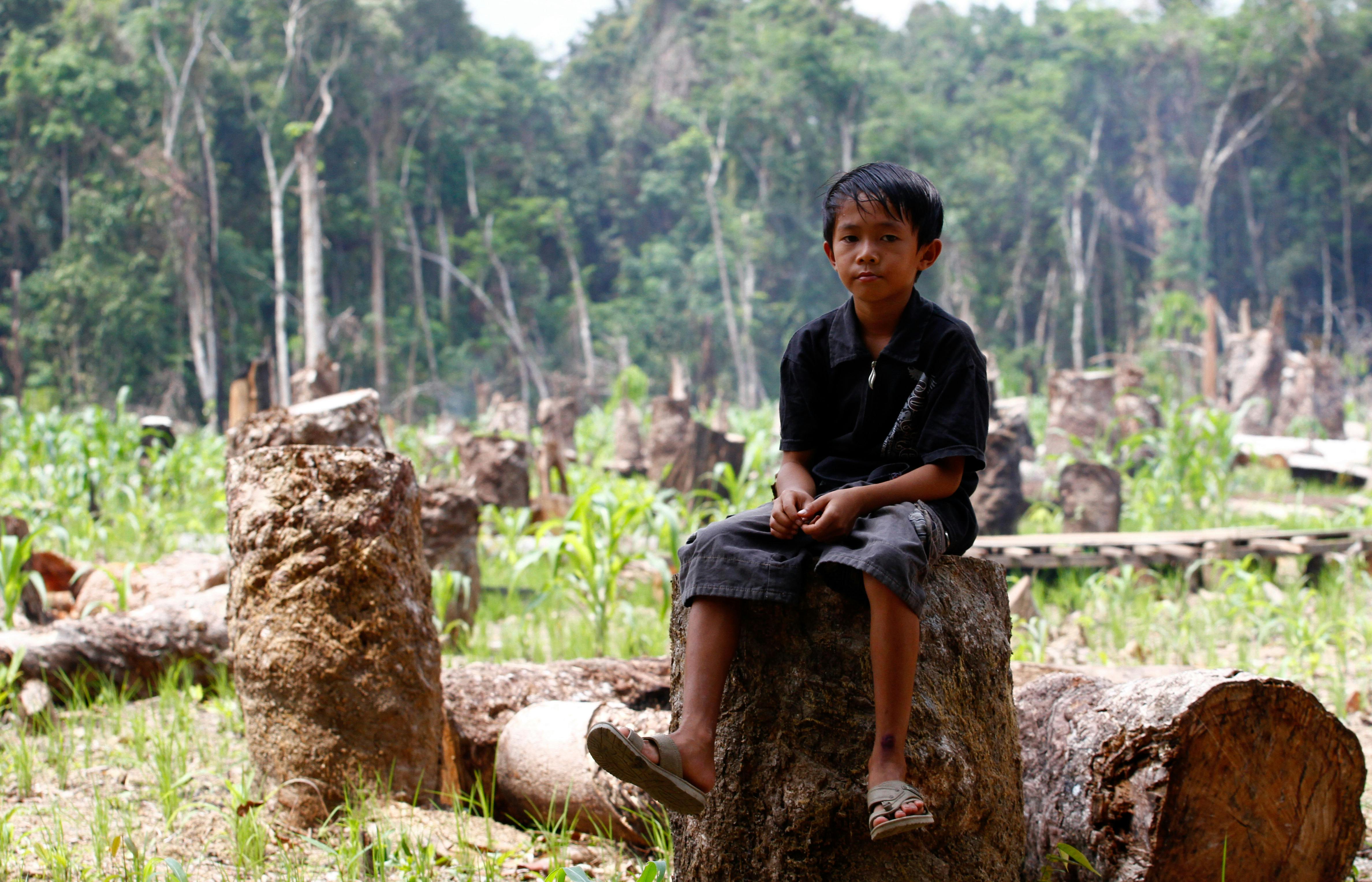 Deforestation_EUDR_Kalimantan_Indonesia