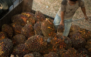 Oil_Palm_Malaysia_Worker