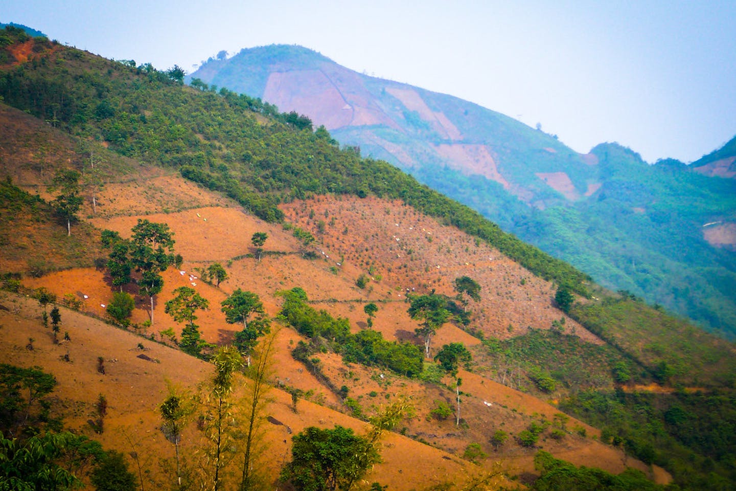 Deforested terrain Guangxi Zhuang, China