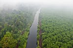 Haze air pollution from burning peatlands blankets the landscape in Riau