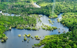 Amazon_Rainforest_NFT_Brazil