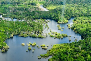 Amazon_Rainforest_NFT_Brazil