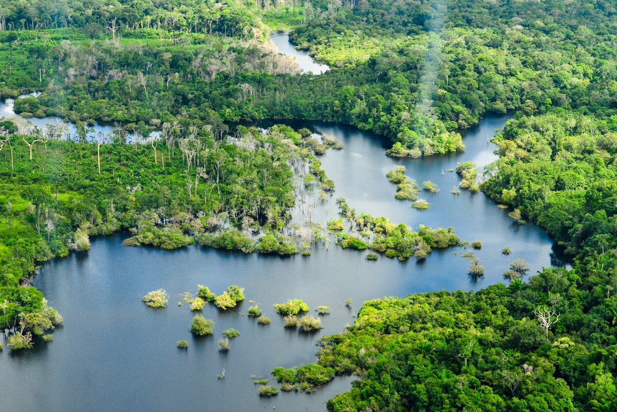 Brazilian prosecutors probe firm over Amazon forest NFT sale