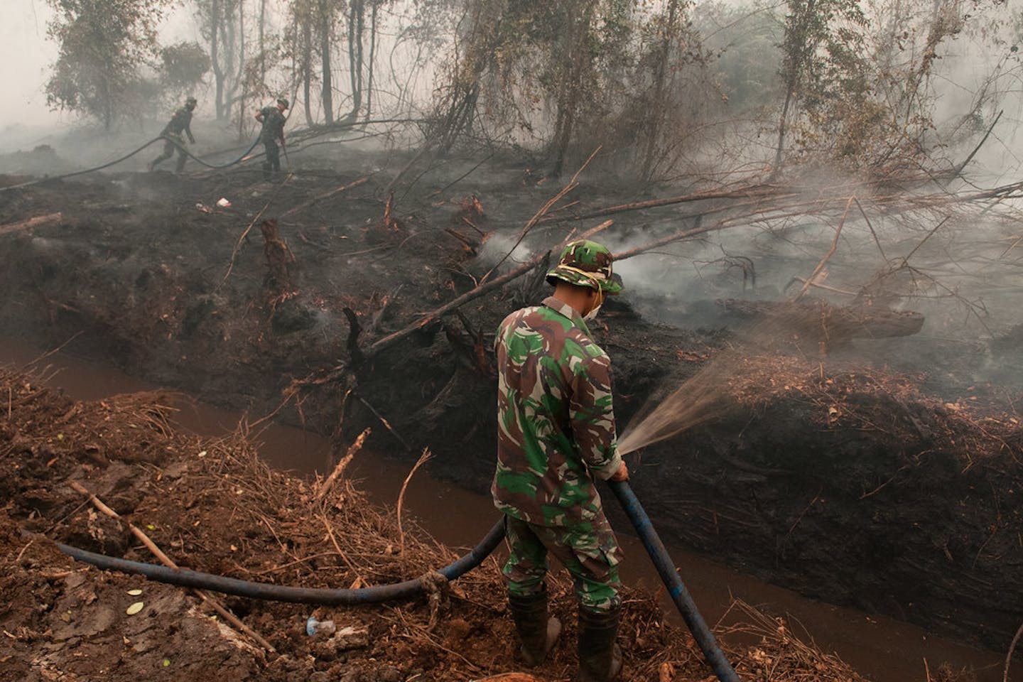 Deforestation Palangka Raya in Central Kalimantan, Indonesia